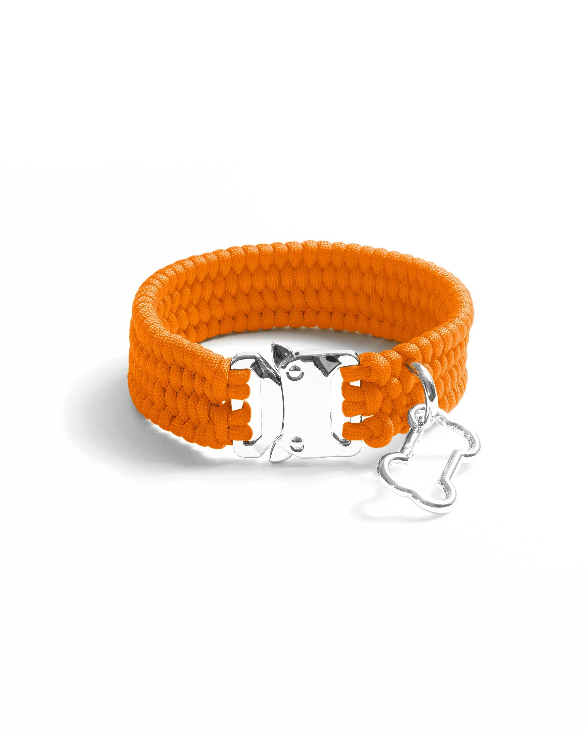 BOLD COLLARS — LEASHES AND COLLARS — VALKA KUKUR Modern